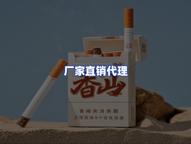 专业团队